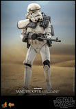 Hot Toys: Star Wars: A New Hope- Sandtrooper *Pre-order*