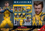 Hot Toys: Deadpool & Wolverine- Wolverine (Deluxe) *Pre-order*