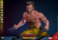 Hot Toys: Deadpool & Wolverine- Wolverine (TVA Jacket) *Pre-order*