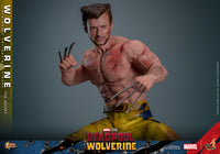 Hot Toys: Deadpool & Wolverine- Wolverine (TVA Jacket) *Pre-order*