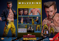 Hot Toys: Deadpool & Wolverine- Wolverine (TVA Jacket) *Pre-order*